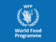 Call for Applications: IT Assistant at the World Food Programme (WFP)