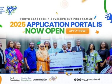 Link to Apply for Nigerian Youth Futures Fund Youth Leadership Development Programme 2025