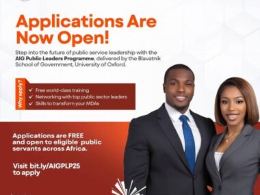 Apply Now and Join Aig-Imoukhuede Public Leaders Program 2025 for Africans