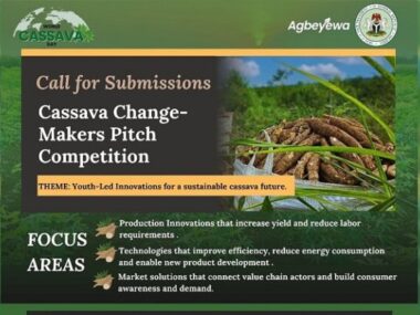 Pitch to Win: Cassava Changemakers Competition 2025 – ₦5 Million Up for Grabs!