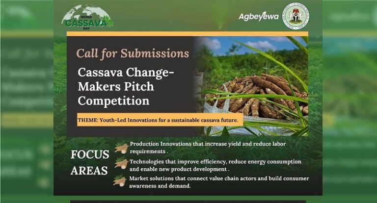 Pitch to Win: Cassava Changemakers Competition 2025 – ₦5 Million Up for Grabs!