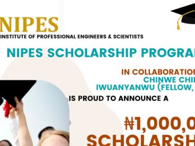 Apply Now: NIPES Chinwe Foundation Scholarship for Nigerians 2025 – ₦1 Million Grant Available!
