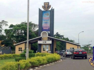 Apply Now: OAU Ile-Ife Recruitment for Academic and Non-Teaching Positions