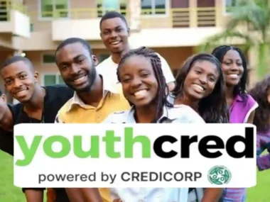Link to Apply For FG YouthCred Empowerment for 400k Youths
