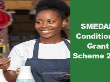 Apply For SMEDAN ₦50000 Conditional Grant Scheme for Micro Enterprises