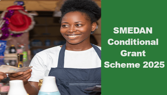 Apply For SMEDAN ₦50000 Conditional Grant Scheme for Micro Enterprises