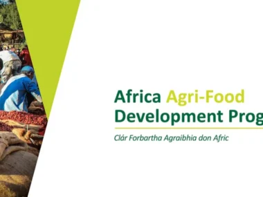 Africa Agri-Food Development Programme