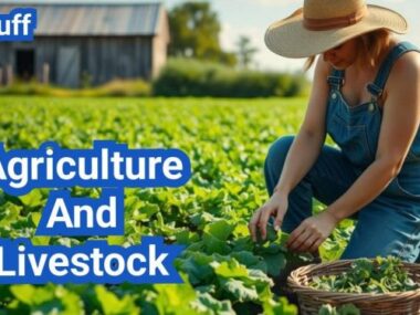 Call for Applications: Ruminant Agribusiness Starter Program for Nigerian Youths (RASP)| 2-Month Hands-on Internship