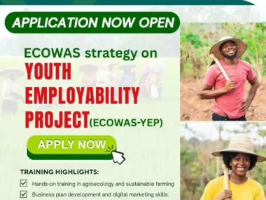 Apply Now: ECOWAS-YEP Youth Training Program for Nigerian Youths 2025