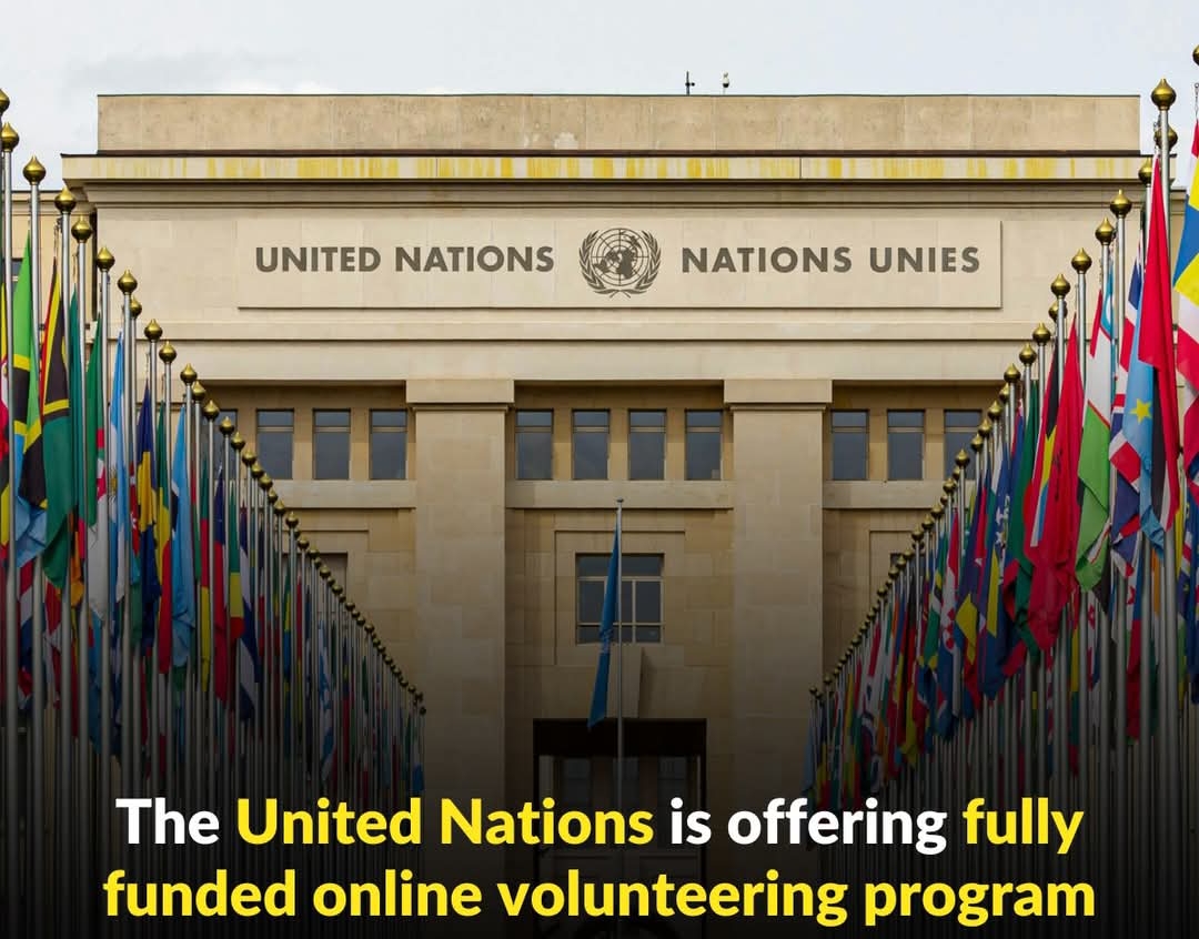 Apply Now for the United Nation Online Volunteer Program 2025 | Volunteer With UN - Funding Opportunities by iDixcover