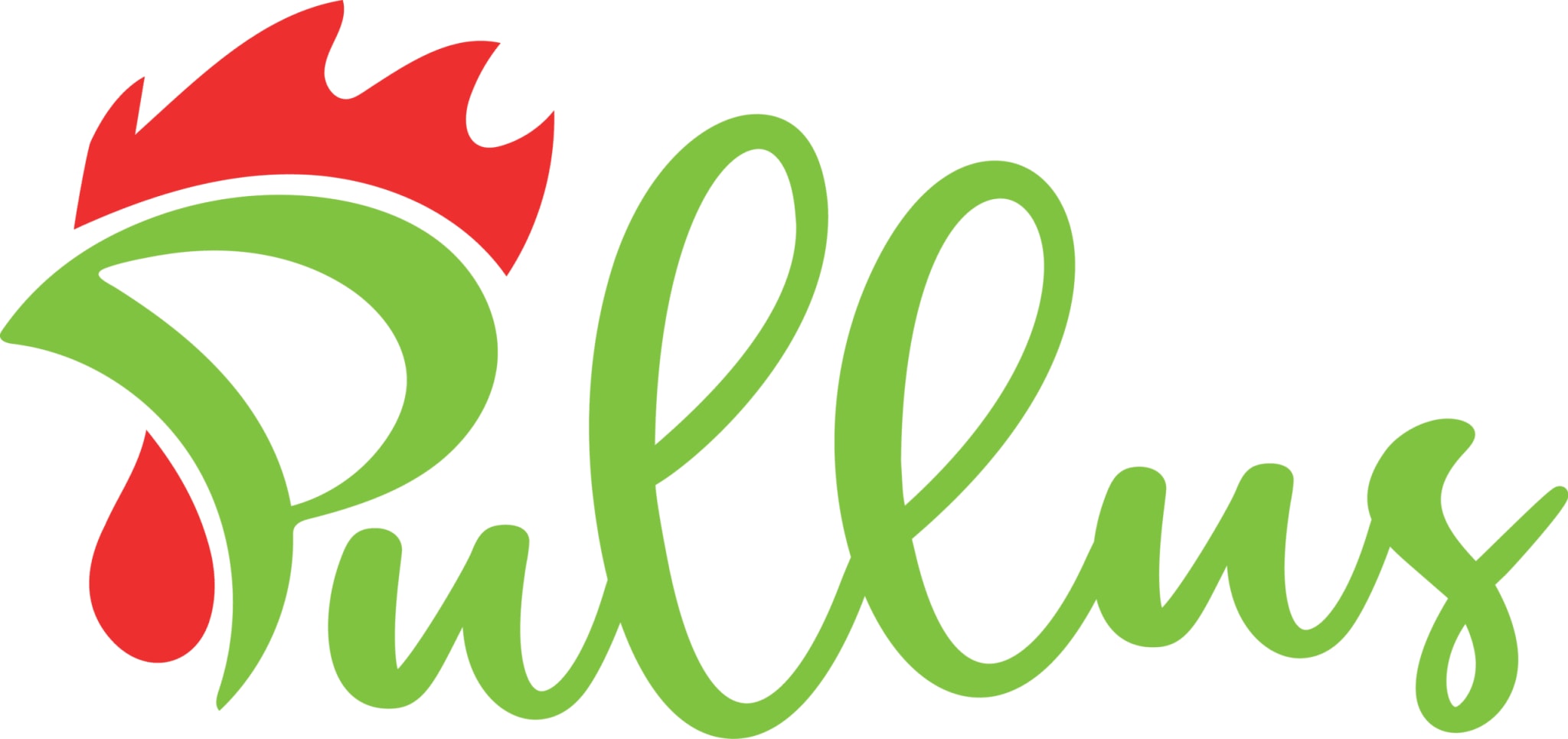 Link to Apply | Pullus Africa is Hiring a Project Manager in Kaduna
