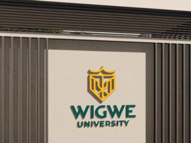 Apply Now: Wigwe University Merit Scholarships 2025 for Nigerians