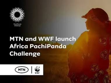 Call for Applications: Nigeria PachiPanda Challenge 2025 for Youth and SMEs | Up to N6 Million Grant prizes