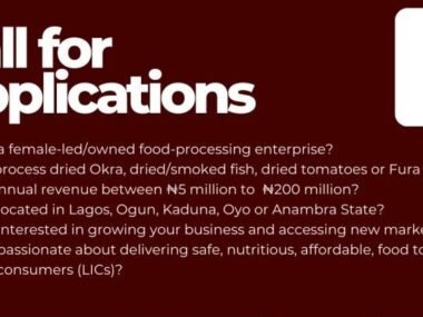 Call for Applications: ANTFem 2.0 For Female Food Entrepreneurs Across Nigeria