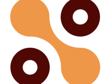 Apply Now: Project Assistant (Entry Level) at Nolton Africa | Hybrid Role