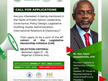 Call for Applications: Legislative Mentorship Initiative (LMI) Cohort 4 Fellowship Programme for Young Nigerians 2025
