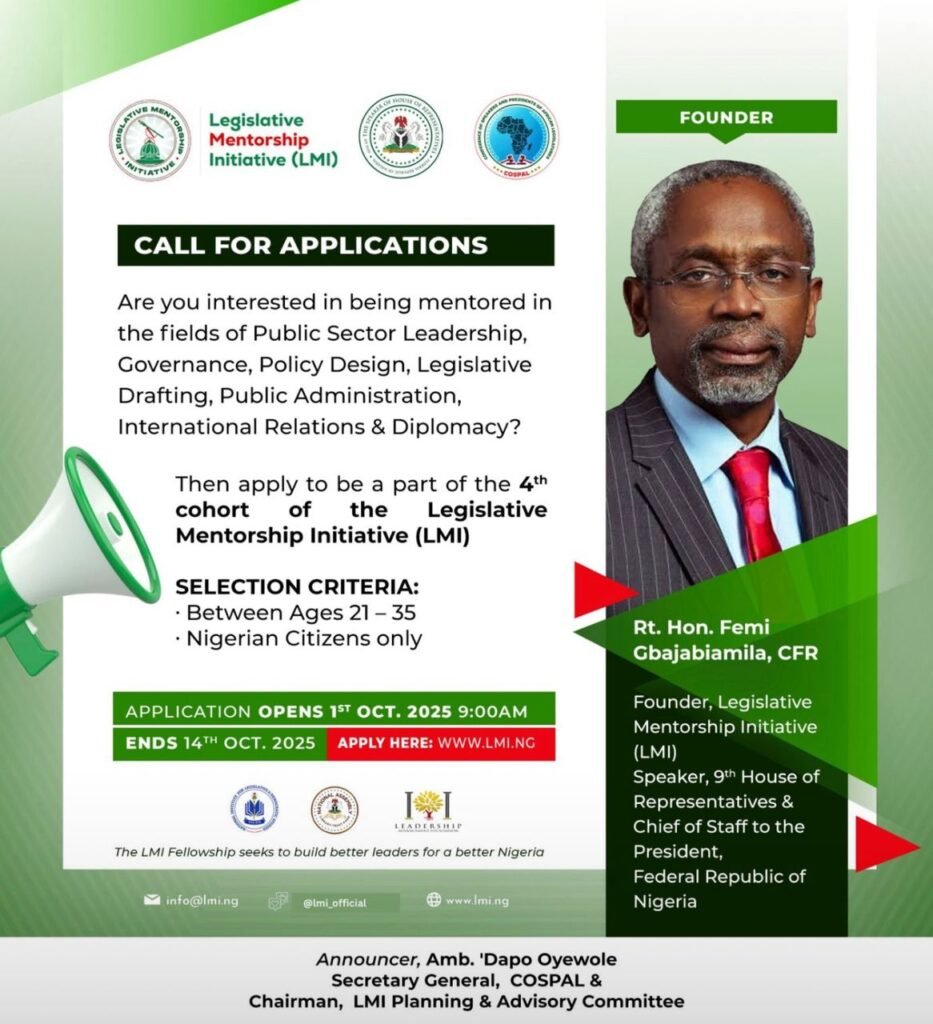 Call for Applications: Legislative Mentorship Initiative (LMI) Cohort 4 Fellowship Programme for Young Nigerians 2025