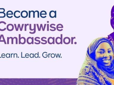 Cowrywise Ambassador Program For Undergraduates 2025 | Scholarships & Internships Available