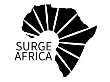 Remote Program Assistant Role at Surge Africa | Apply Now
