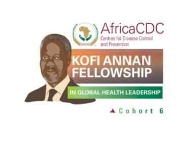 Kofi Annan Global Health Leadership Program For Africans | Fully Funded