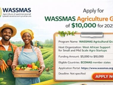 Call for Applications: WASSMAS Agriculture Grant for Africans 2025 | Up to $10000 Funding