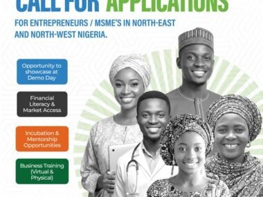 Call for Applications: DBN Innovation Hub Support Programme for MSMEs in North-West and North-East Nigeria