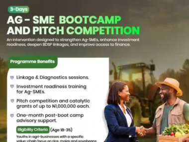 AG-SME Bootcamp & Competition Launches ₦1 Million Grant for Agripreneurs | Link to Apply