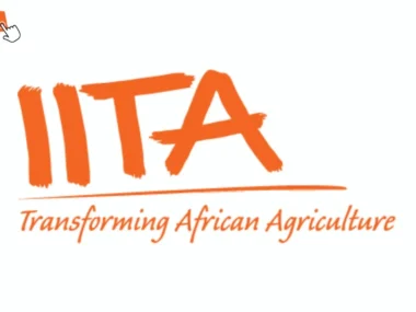 Call for Applications: IITA Agricultural Enterprise and Innovation Training Program 2026