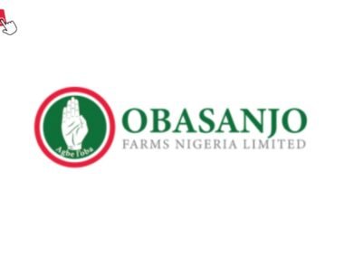 Obasanjo Farms Nigeria Recruitment 2026 | Apply Now