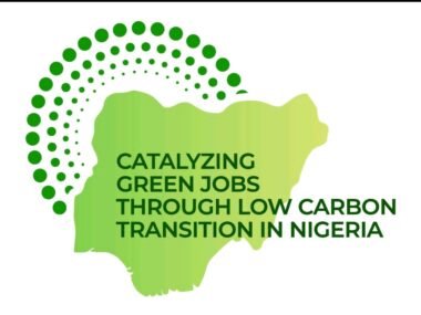 Apply Now: Nigeria Youth Green Jobs Fellowship 2026