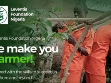 Call for Applications: Leventis Foundation Graduate Trainee Program 2026