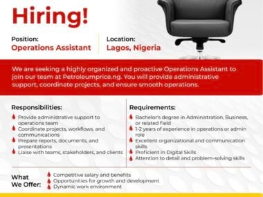 Apply Now: Operations Assistant Roles at Petroleumprice.ng 2026