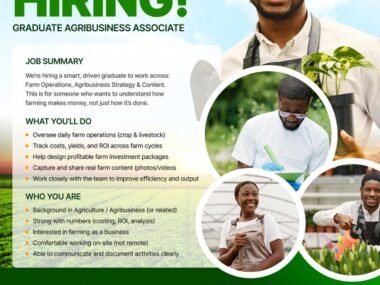 Call for Applications: Graduate Agribusiness Associate Trainee at FLA Farms