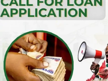 LSETF Broiler Project Loan Programme for Farmers | Apply for Up to ₦5 Million Funding Support