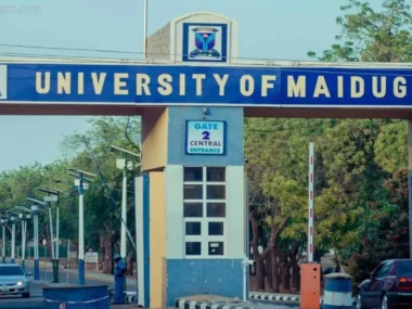 University of Maiduguri Recruitment 2026 for Non-Academic Staff | Apply Now for Multiple Vacancies