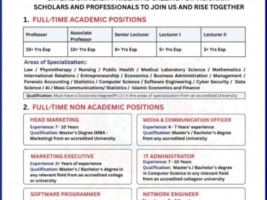 Job Openings at Skyline University Nigeria | Link to Apply