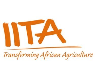 International Institute of Tropical Agriculture (IITA) Graduate Internship Program 2026 for Young Nigerians