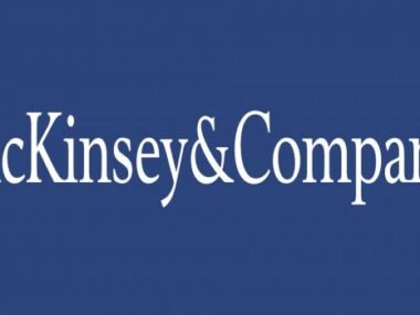 McKinsey & Company Young Leadership Fellows Programme 2027 for young Africans